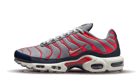 Reaprovizionare Nike Air Max Plus Usa Gri