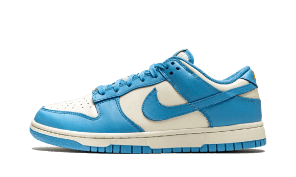 Reaprovizionare Nike Dunk Low Coast (w)