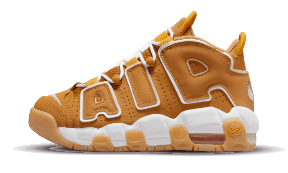Reaprovizionare Nike Air More Uptempo Grâu (gs)